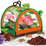 Botany Discovery - Science Kit - I'M A GENIUS POCKET - Miniature Greenhouse, Botanical Experiments - Image 2