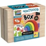 Wooden Rainbow - LISCIANI - Stimulate vision and color sensitivity