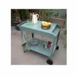 Plancha trolley - LIVOO - GS168V - Green / Black - Image 4