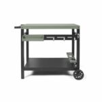 Plancha trolley - LIVOO - GS167V - Green / Black - Image 2