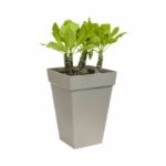 ELHO High square plant tray - 37 cm - Anthracite gray - Image 2