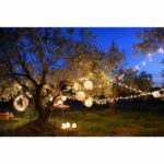 LIGHT GARDEN SOLAR LIGHT YOGY Solar - SOLAR WHITE WHITE LIGHT - 200 LED - 1700 cm - Image 3
