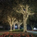 LIGHT GARDEN SOLAR LIGHT YOGY Solar - SOLAR WHITE WHITE LIGHT - 200 LED - 1700 cm - Image 5