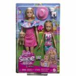 BARBIE AND STACIE BOX - BARBIE - HRM09 - Image 6