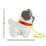 Fisher-Price My Pug to Walk Pull Along Toy for Baby HTW94 - Image 6