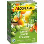 Citrus fertilizers, olivers and palm trees - Algoflash Naturasol - 1 kg - Image 2