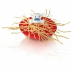 MEGABLEU Board Game - Yeti in Spaghetti - Image 3