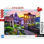 Nathan puzzle 1000 p The Forum - Image 2