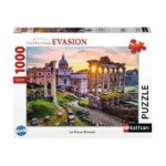 Nathan puzzle 1000 p The Forum