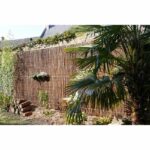 Fine wicker reed - NATURE - 1 x 3 m - 4/5 screening - Image 2