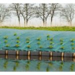 Mulching canvas landscapes - green 90 gr/m² - 2x5m