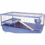 Raised rodent cage - Zolux - Néolife - For guinea pigs - 99 x 54 x 79 cm - Blue - Image 2