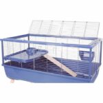 Raised rodent cage - Zolux - Néolife - For guinea pigs - 99 x 54 x 79 cm - Blue - Image 4