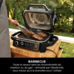 Electric barbecue - NINJA - Woodfire - OG701EU - Grill, smoker & air fryer - Non-stick - Grey and black - Image 3