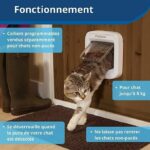 PETSAFE Chatiere with chip Staywell - For cat and dog - Image 6