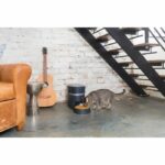 PETSAFE Smartfeed connected 12-meal dispenser - For cats and dogs - Image 2