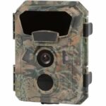 Camera trap - NUM'AXES - PIE1066 - VGA - WVGA - HD 720p - FULL HD 1080p