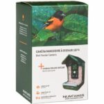 Bird feeder / waterer with integrated camera - NUM'AXES - CAM1074 - 120 ° - Green - Image 4