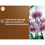 Orchid soil - BROWN GOLD - OBRTORC6U - 6L - Promotes growth - Image 6