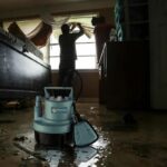 Cellar drain pump - EKKO PUMPS - PAC82 - For clear water - 200 W - Equipped with a float - Image 4