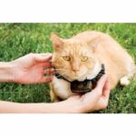 Pcf275-19 Additional Collar For Pcf-1000-20