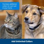 PETSAFE Extra Mini Barrier Collar - Black - For Dog and Cat - Image 4