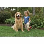 PETSAFE - Anti-runaway fence - For dogs - Image 2