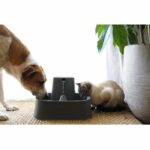 7.5l plastic fountain - BPA free - Image 2