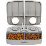 Automatic dispenser - PETSAFE - 2 meals
