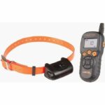 NUM'AXES CANICOM 5.500 training set with 500 m range - For 1 or 2 dogs