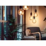 Philips Hue White Ambiance, LED Connected LED E27 Filament G93 Globe, Bluetooth, works with Alexa, Google and Homekit - Image 6