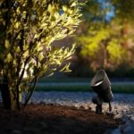 PHILIPS Low Voltage GardenLink 1x6W Outdoor Spotlight, 2700K, IP44 - Power supply not included - Image 6