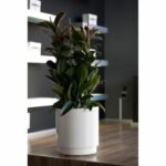 Plastiken Flower Pot with Hidrojardinera water reserve - Ø38 cm - White - Image 2