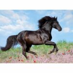 200 piece XXL Black stallion puzzle - Child - Landscape and nature - Ages 8 - 12803 - Ravensburger - Image 2