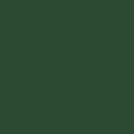 RIPOLIN Satin Wood Paint High Protection 10 years which Protects and Magnifies your Wood - Basque Green - Image 4