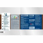 RIPOLIN Satin Wood Paint High Protection 10 years which Protects and Magnifies your Wood - Light gray - Image 4