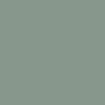 Interior wall decoration paint - Matt noble green - RIPOLIN - 2.5 L - Image 3
