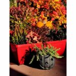 RIVIERA EVA flower box - Set of 2 planters - Plastic - 57 cm - Red - Image 3