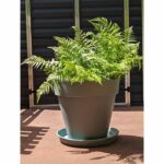 RIVIERA SOLEILLA round flower box – Plastic – Diameter 60 cm Clay green