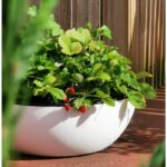 Riviera - Flower pot cut - Granite D40 - White - Image 2