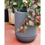 RIVIERA - Tulip flower pot - granite D40 - gray - Image 3