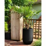RIVIERA GRANIT TULIP round flower box - Plastic - Diameter 50 cm - Black - Image 3