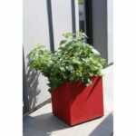 Riviera Granite Bac - 40x40 cm - Red - Image 2