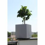 GRANITE CONTAINER 40x40 STONE - Image 2