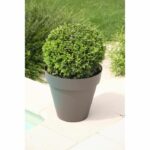 Riviera SOLEILLA FLOWER POT - ROUND - Ø 39.2 x 35.8 cm -glittergris - Image 3