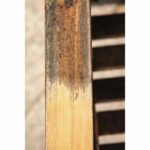 SCHEPPACH Nylon brush for renovator and surfacer MRS1300 - Image 5