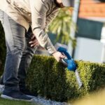 SCHEPPACH C-HTGS200-X cordless grass shears - 20V IXES - without battery or charger - Image 6