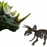 2 in 1 Dinosaur and Skeleton Dig - Triceratops - SES CREATIVE - Image 3
