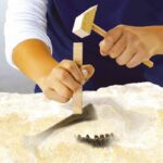 2 in 1 Dinosaur and Skeleton Dig - Triceratops - SES CREATIVE - Image 5