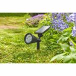 Spot Lumi 70L, Mail Order - Image 3